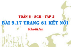 Bài 9.17 trang 81 Toán 6 Tập 2 Kết nối tri thức